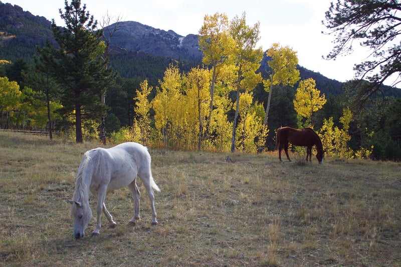 Colorado Mountains