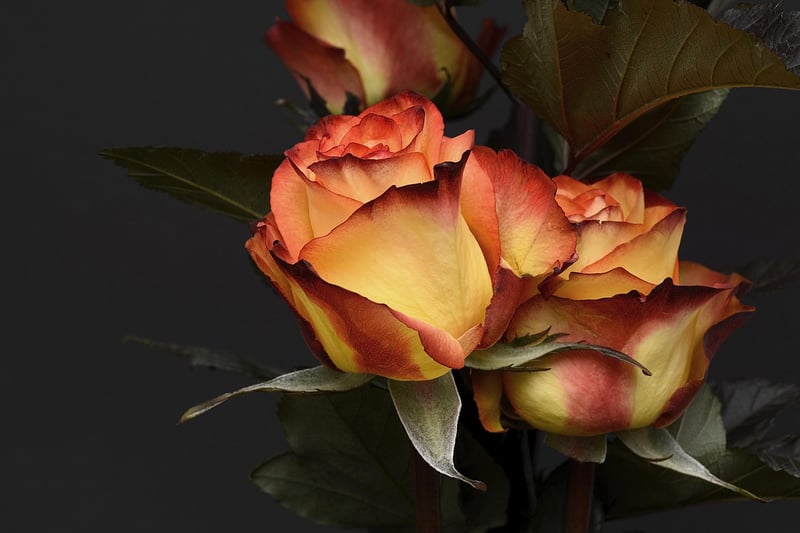 Wedding Florist